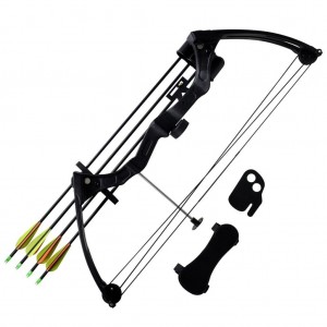 Youth compound bow with accessories and aluminum arrows